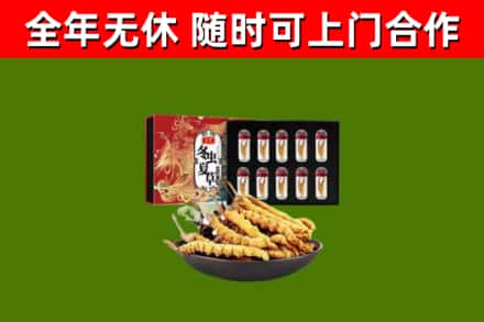 吉利回收冬虫夏草价格