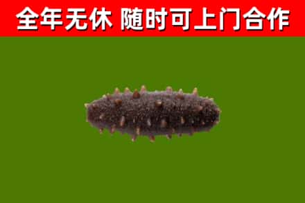 吉利烟酒回收干海参.jpg